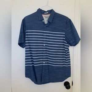 Penguin Stripped Blue and White Collard shirt